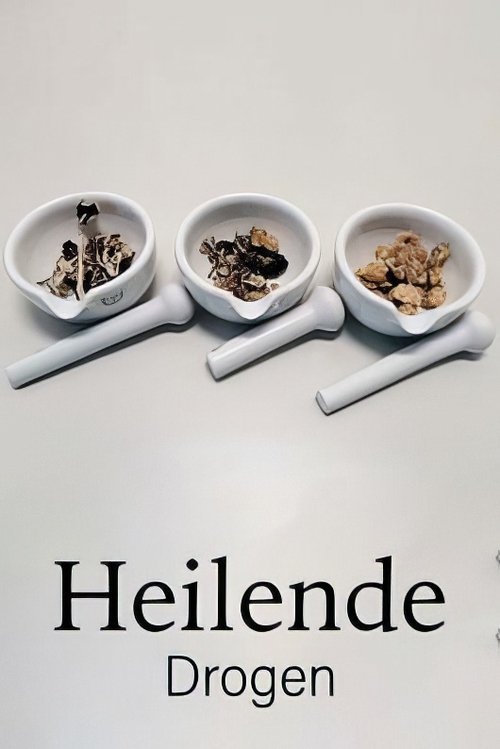 Drugs that Heal: Could Psychedelics Treat Depression?