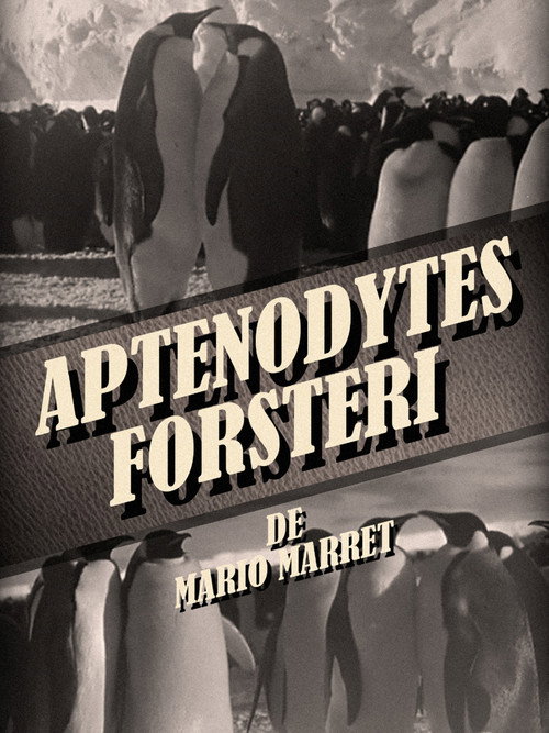 Aptenodytes Forsteri