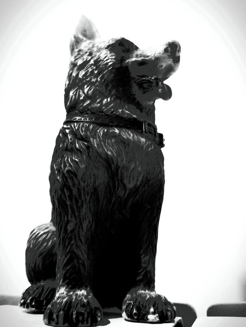 The Dog of Sarandi Alley