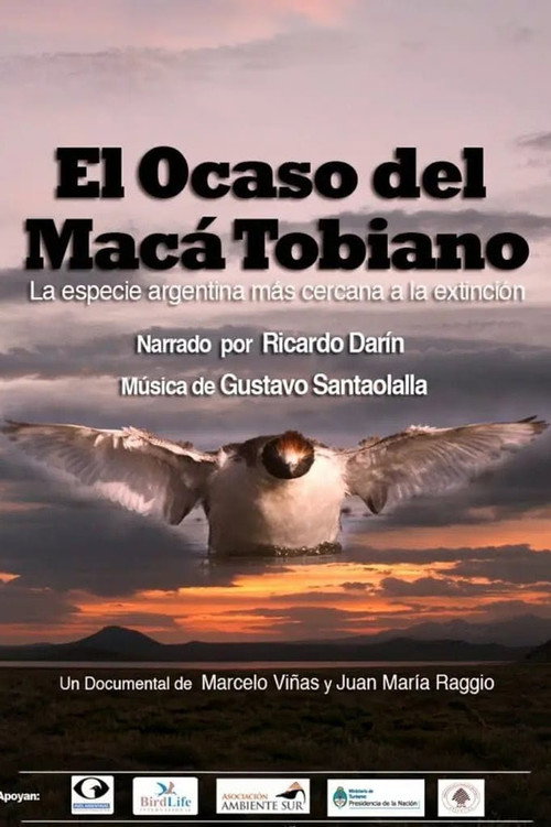 El Ocaso del MacĂĄ Tobiano