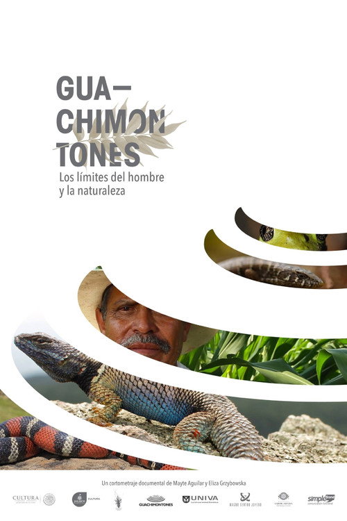 Guachimontones, los lĂmites del hombre y la naturaleza.