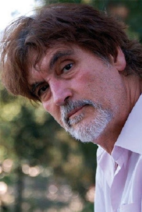 José Luis Ayestarån