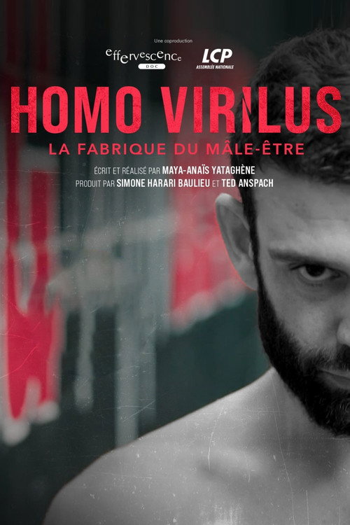Homo virilus : la fabrique du mĂąle-ĂȘtre