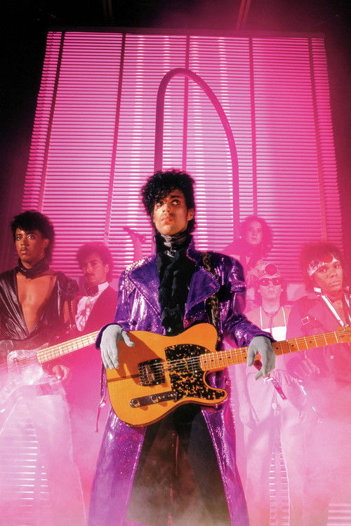 Prince: 1999 Live In Houston 12-29-82
